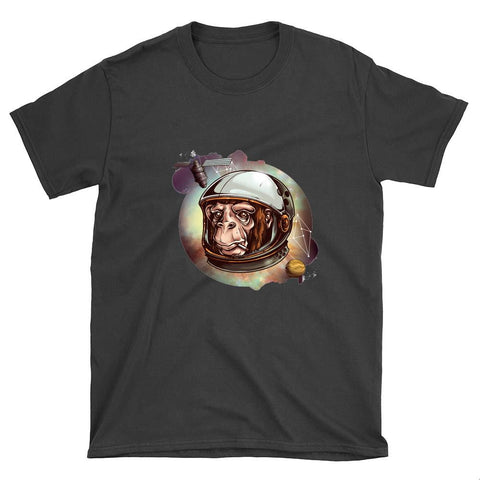 Image of Image 2