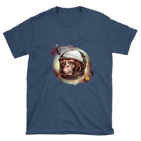 Image of Image 4