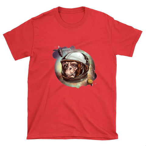 Image of Image 5