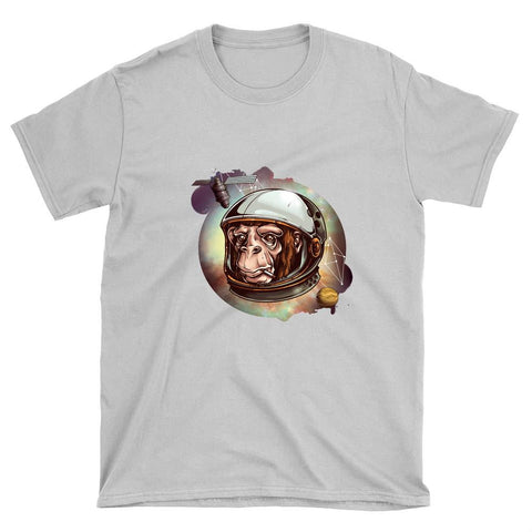 Image of Image 7